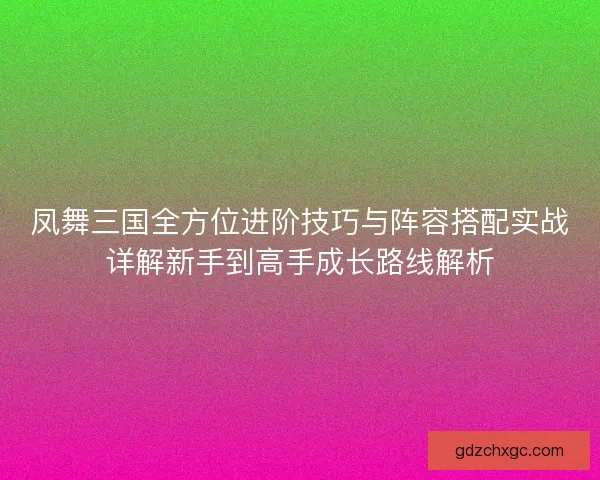 凤舞三国全方位进阶技巧与阵容搭配实战详解新手到高手成长路线解析