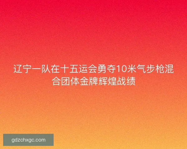 辽宁一队在十五运会勇夺10米气步枪混合团体金牌辉煌战绩