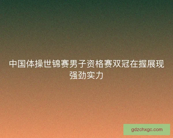 中国体操世锦赛男子资格赛双冠在握展现强劲实力
