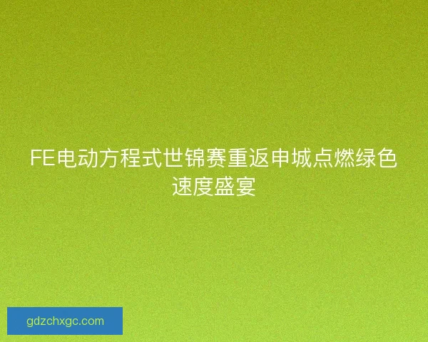 FE电动方程式世锦赛重返申城点燃绿色速度盛宴 FE电动方程式世锦赛重返申城点燃绿色速度盛宴