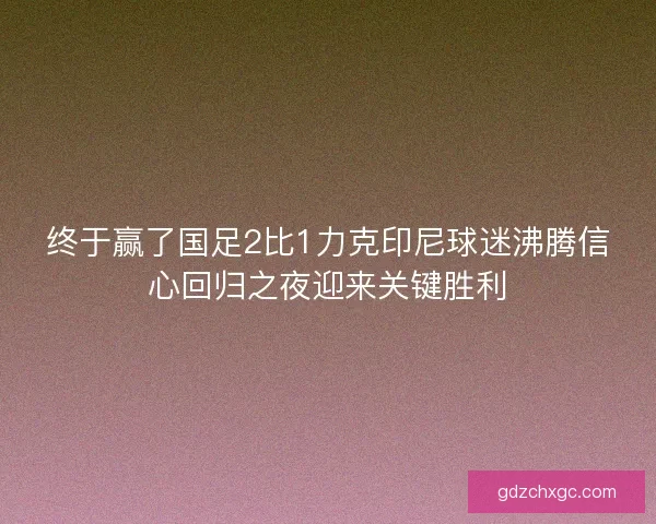 终于赢了国足2比1力克印尼球迷沸腾信心回归之夜迎来关键胜利
