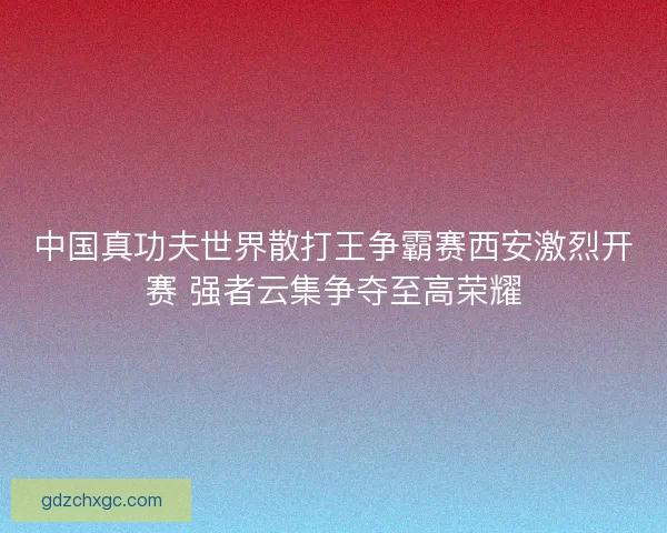 中国真功夫世界散打王争霸赛西安激烈开赛 强者云集争夺至高荣耀 中国真功夫世界散打王争霸赛西安激烈开赛 强者云集争夺至高荣耀
