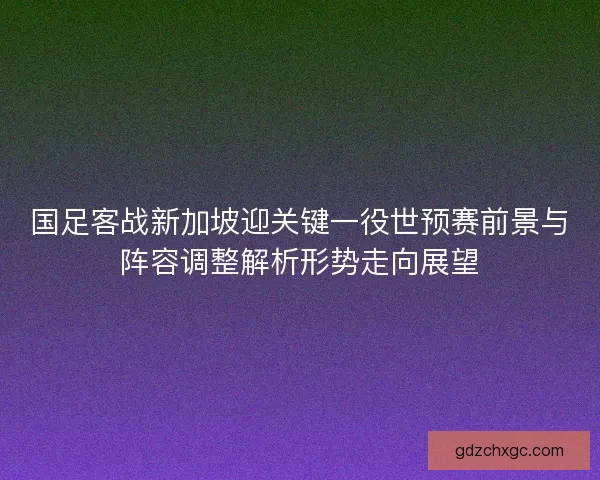 国足客战新加坡迎关键一役世预赛前景与阵容调整解析形势走向展望