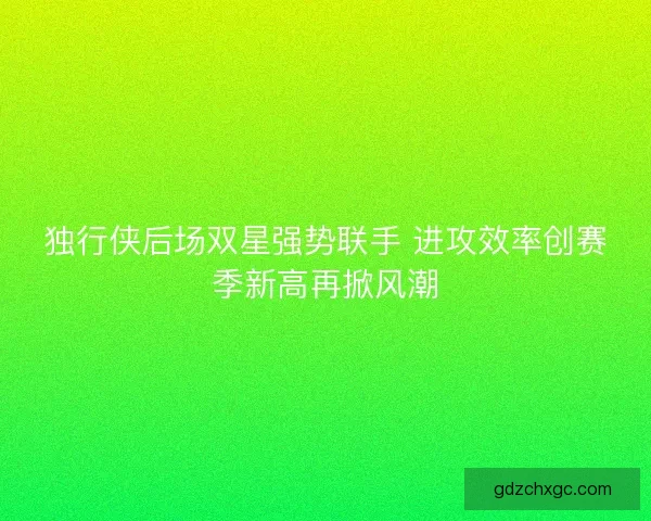 独行侠后场双星强势联手 进攻效率创赛季新高再掀风潮